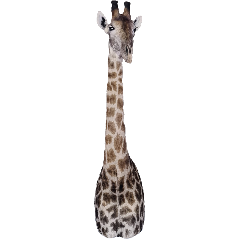 Giraffe Pedestal Mount - GPM100