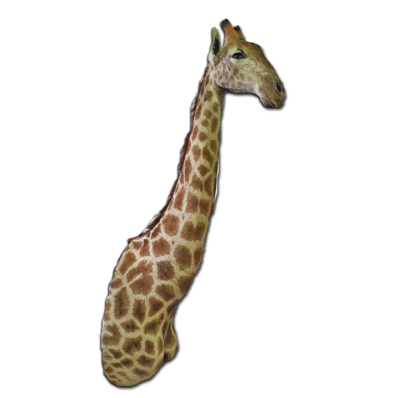 Giraffe Shoulder Mount - GSM100