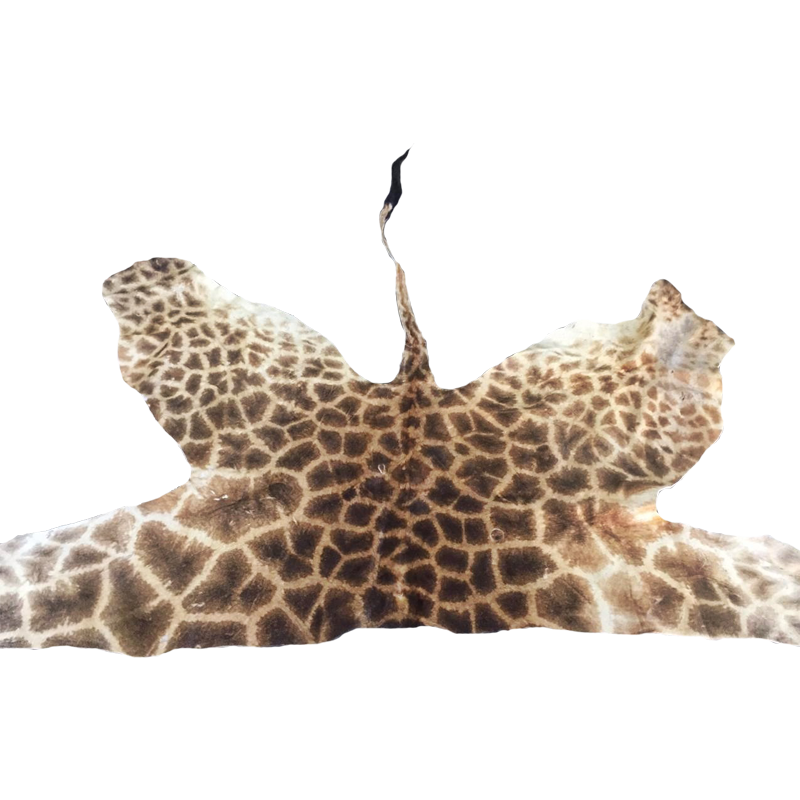 Giraffe Back Skin - GBS100 - Image 2