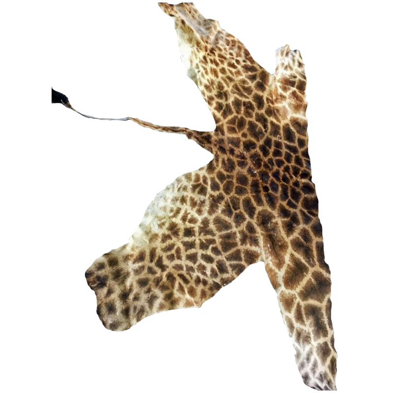 Giraffe Back Skin - GBS100 - Image 3