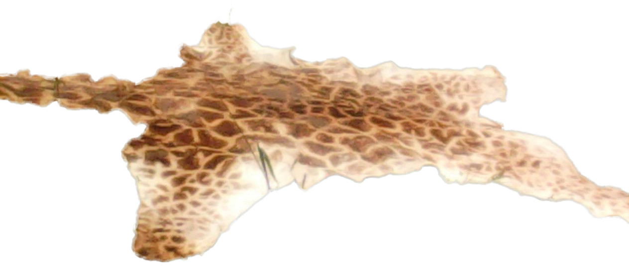 Giraffe Skin GS1 - Image 2