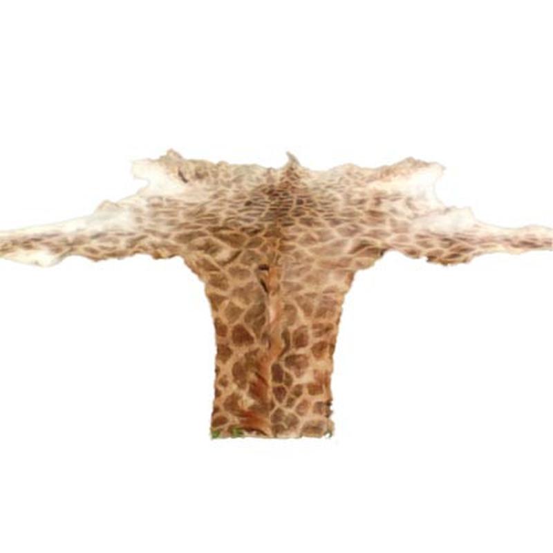 Giraffe Skin GS1 - Image 3