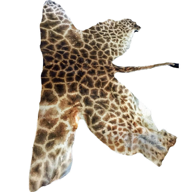 Giraffe Back Skin - GBS100