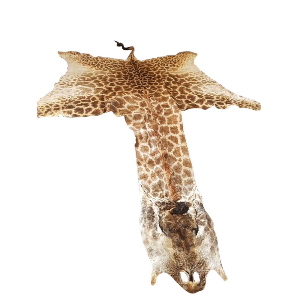 GIRAFFE SKINS GSY8 - Image 2