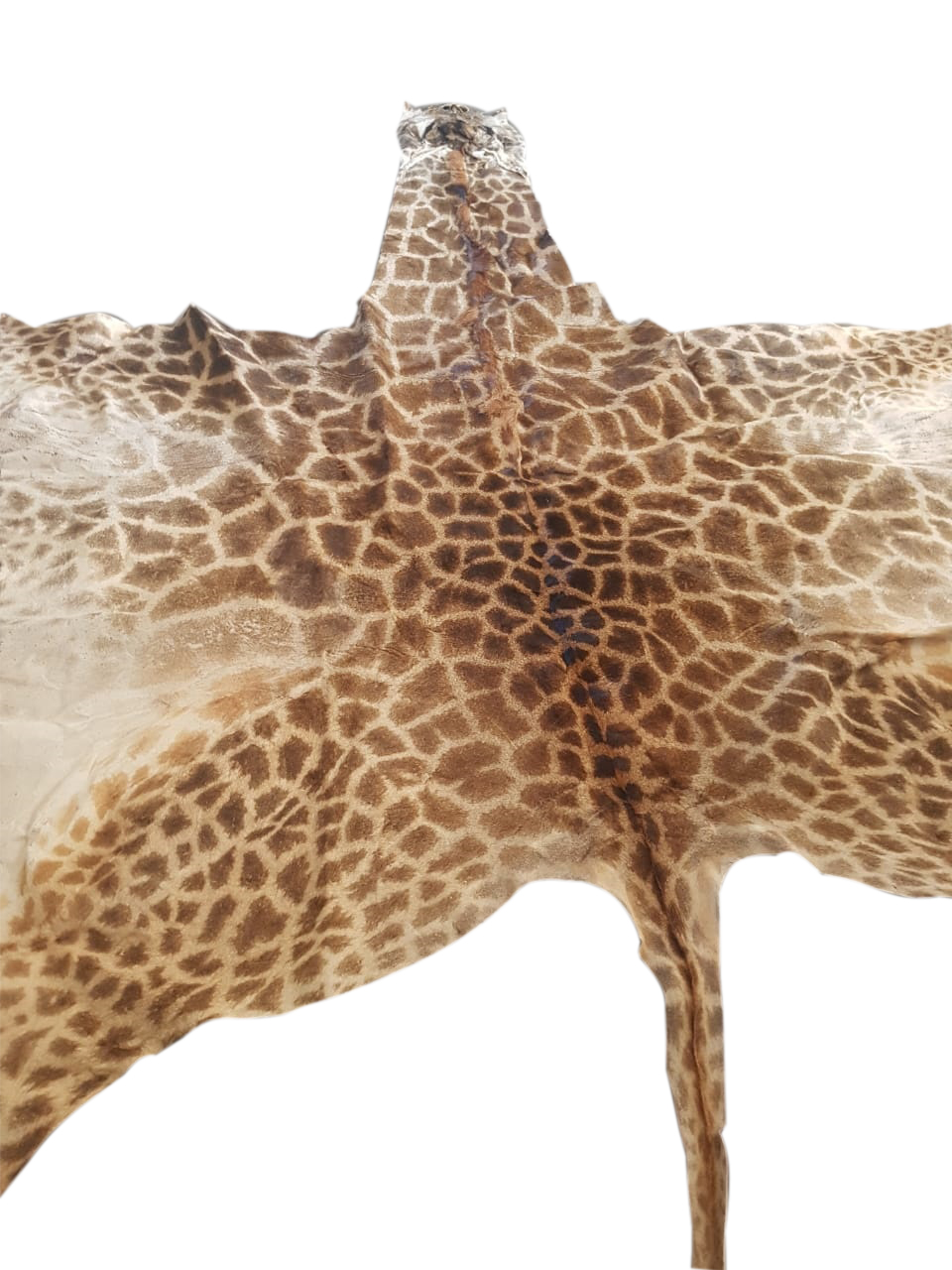 GIRAFFE SKINS GSY8 - Image 3
