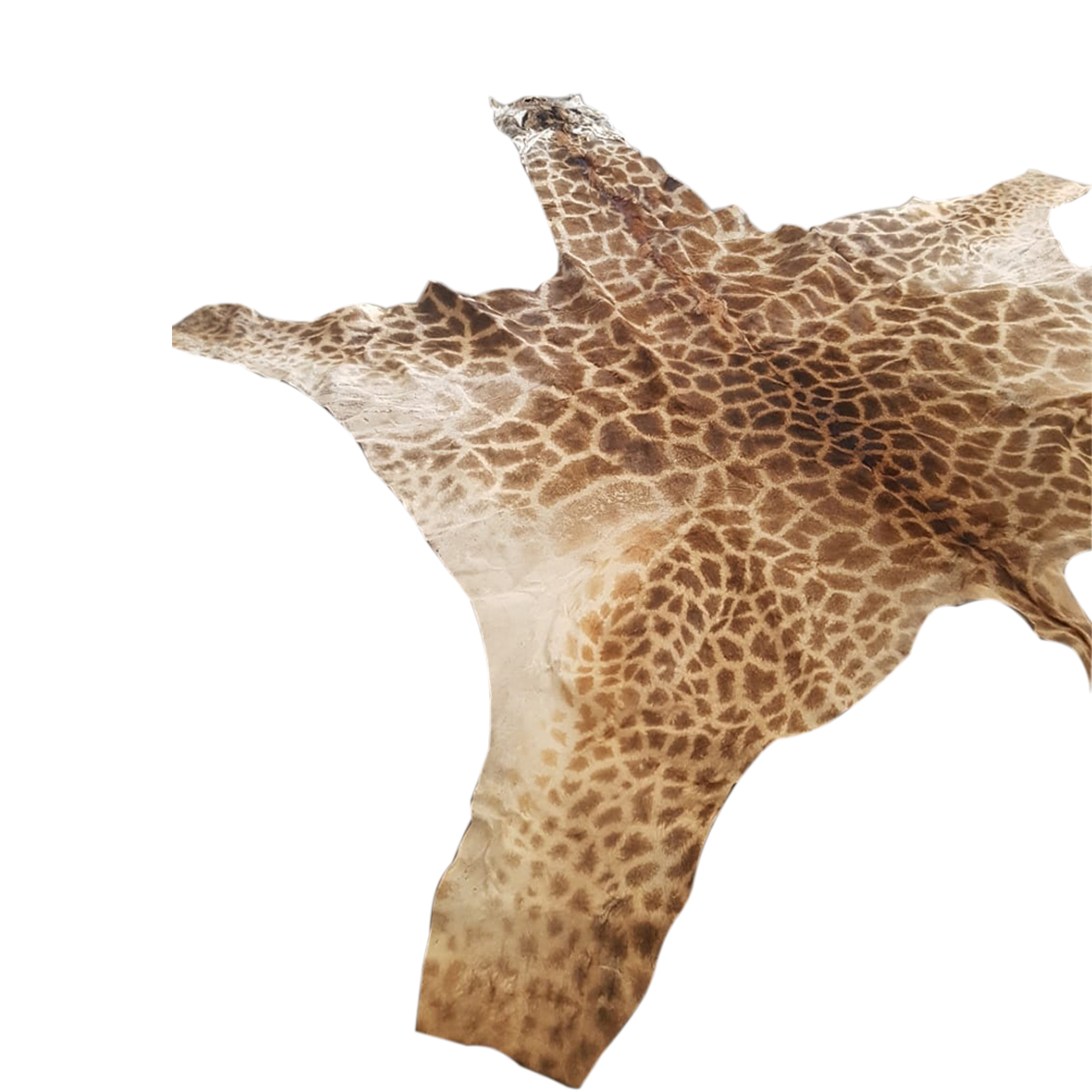 GIRAFFE SKINS GSY8 - Image 4