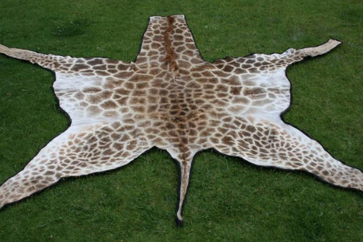 Giraffe Skins For Sale - GSkin01 - Image 2