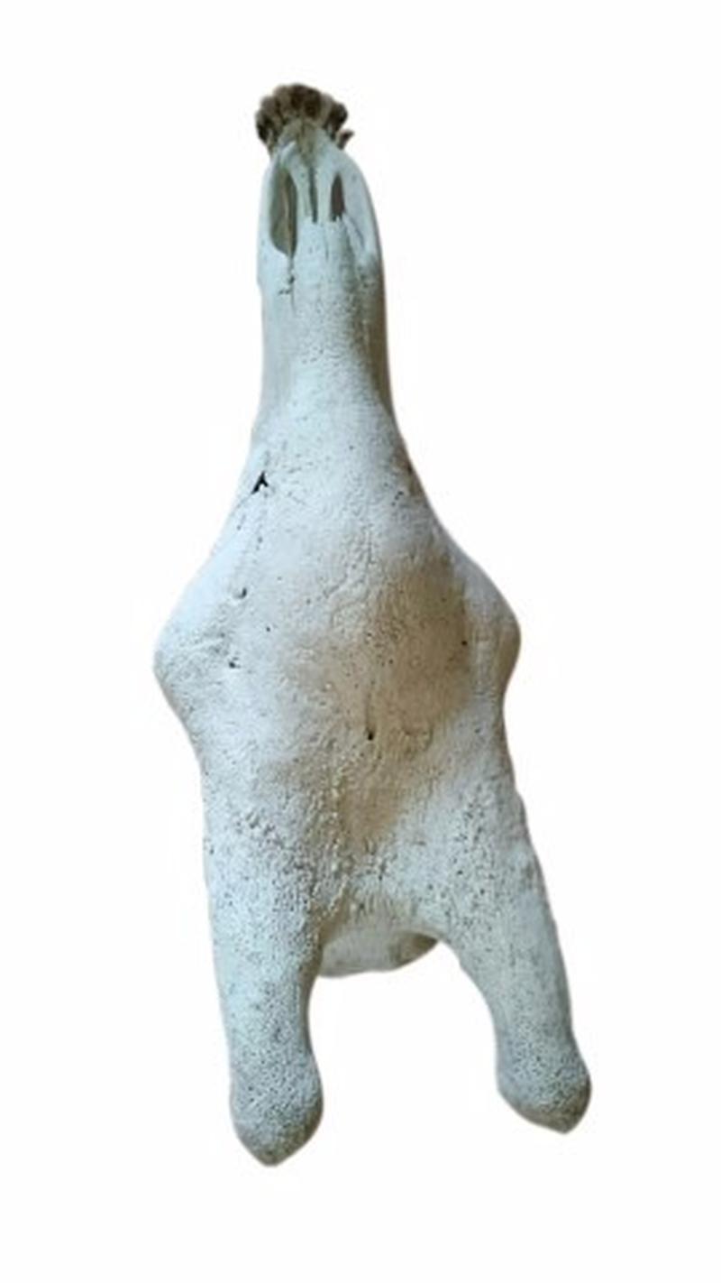 Giraffe Skull - W01 - Image 2