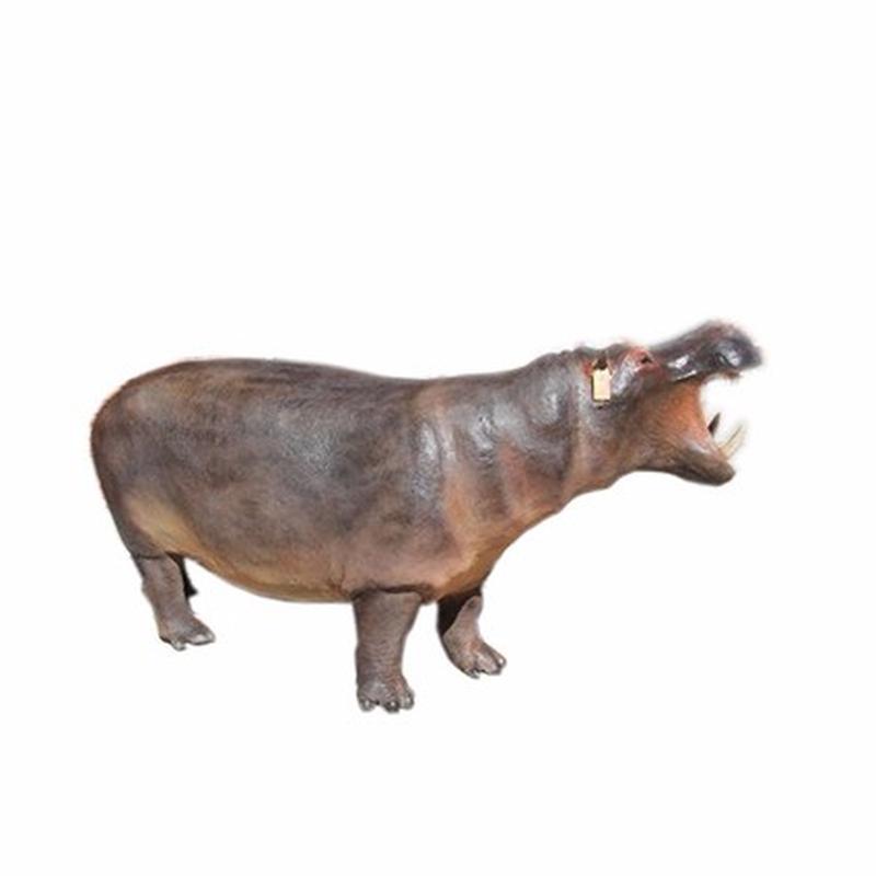 Hippo Full Mount Adult HF2