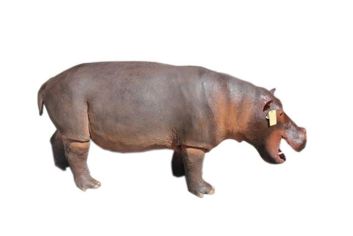 Hippo Full Mount Small HF1 - Image 3