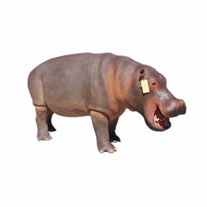 Hippo Full Mount Small HF1