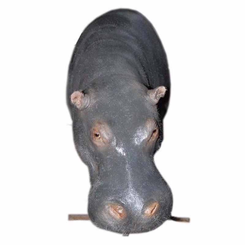 Hippo Shoulder Mount - HSM01