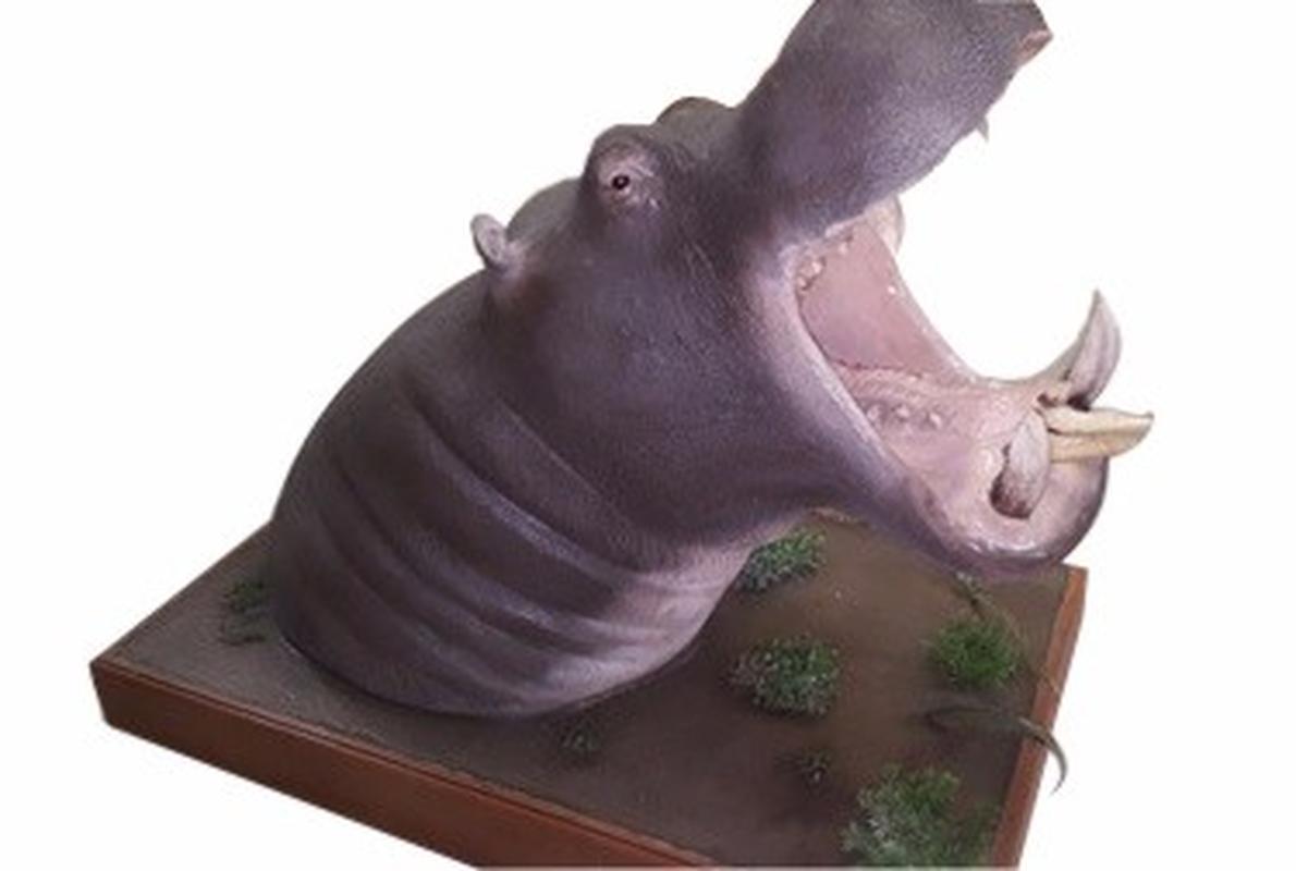 Hippo Shoulder Mount Stand On The Floor HS2 - Image 3