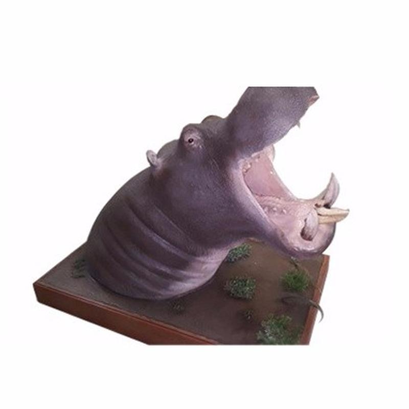 Hippo Shoulder Mount Stand On The Floor HS2