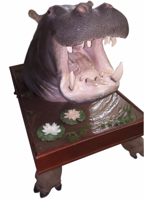 Hippo Shoulder Mount With Feet HS1 - Image 4