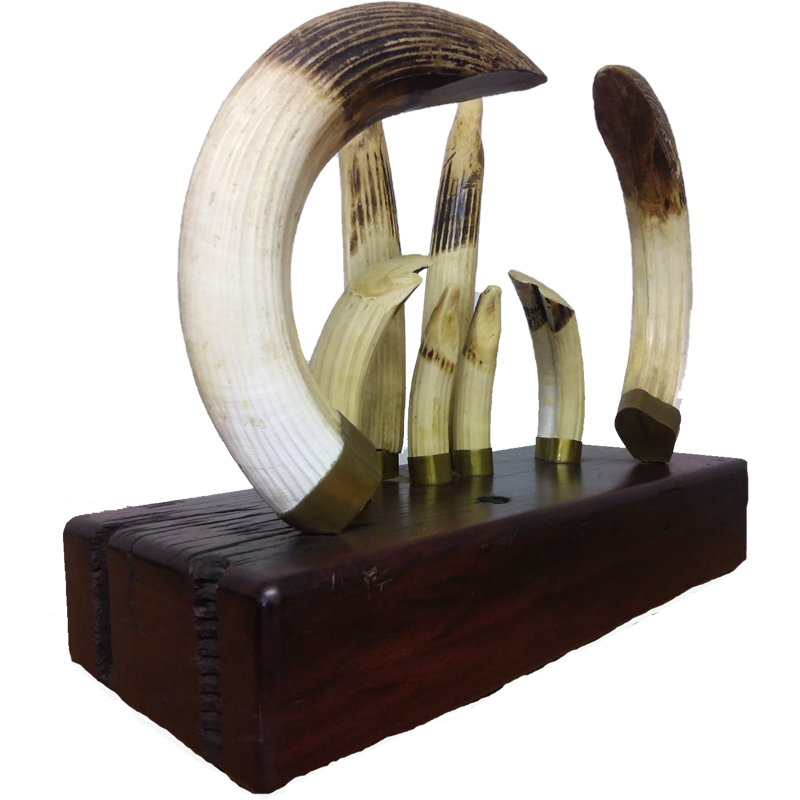Hippo Tusk Mount Set - HTMS100 - Image 4