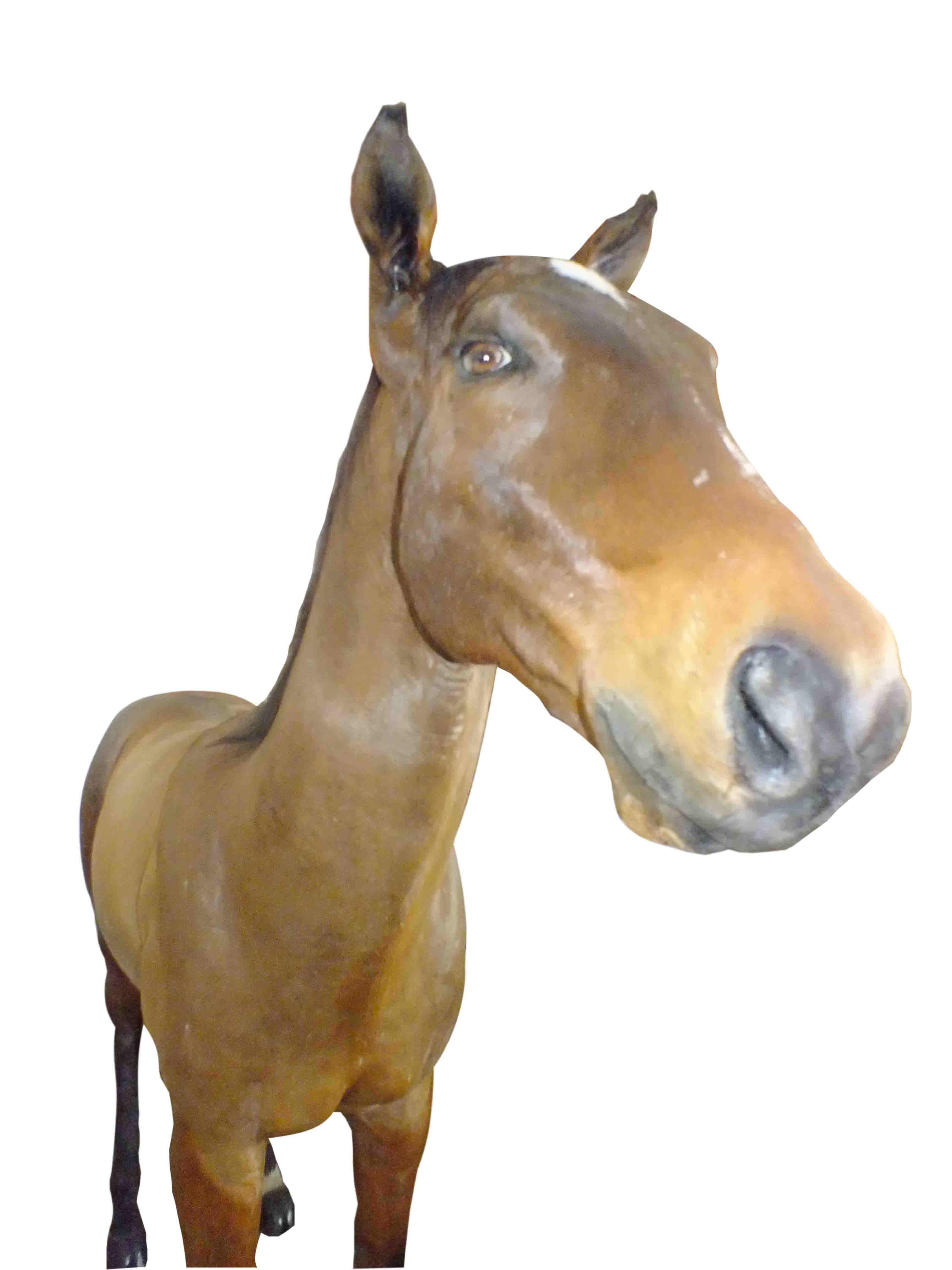 Horse Full Mount HFM1 - Image 3
