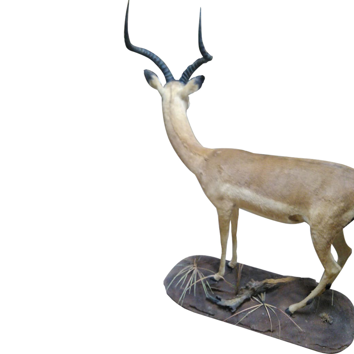 IMPALA FULL MOUNT IFM156 - Image 4
