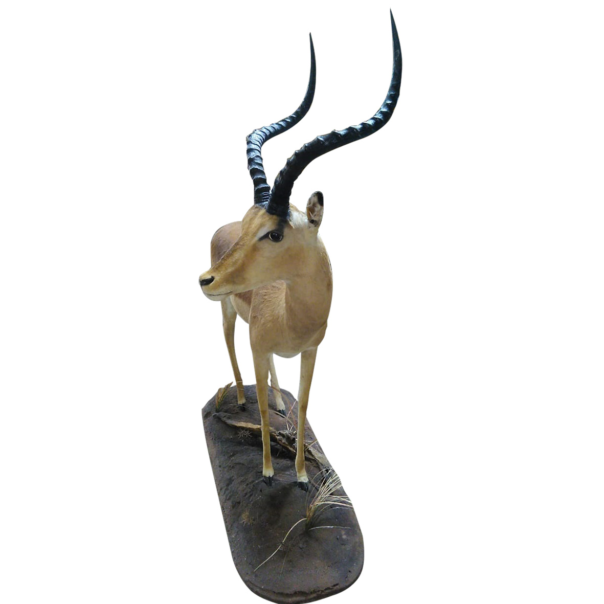 IMPALA FULL MOUNT IFM156 - Image 5