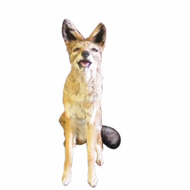 Jackal Full Mount 1