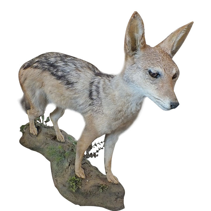 Jackal Full Mount On Base JFM1 - Image 3