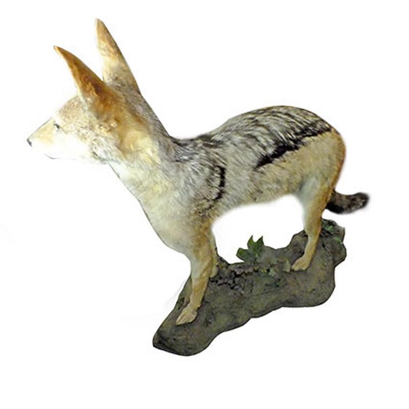 Jackal Full Mount On Base JFM1 - Image 4