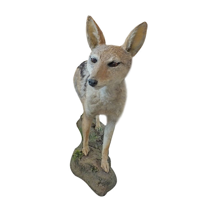 Jackal Full Mount On Base JFM1 - Image 5