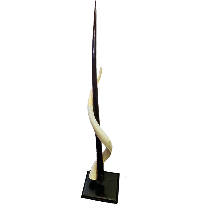 Kudu Inner & Gemsbok Horn - KIGHM 100