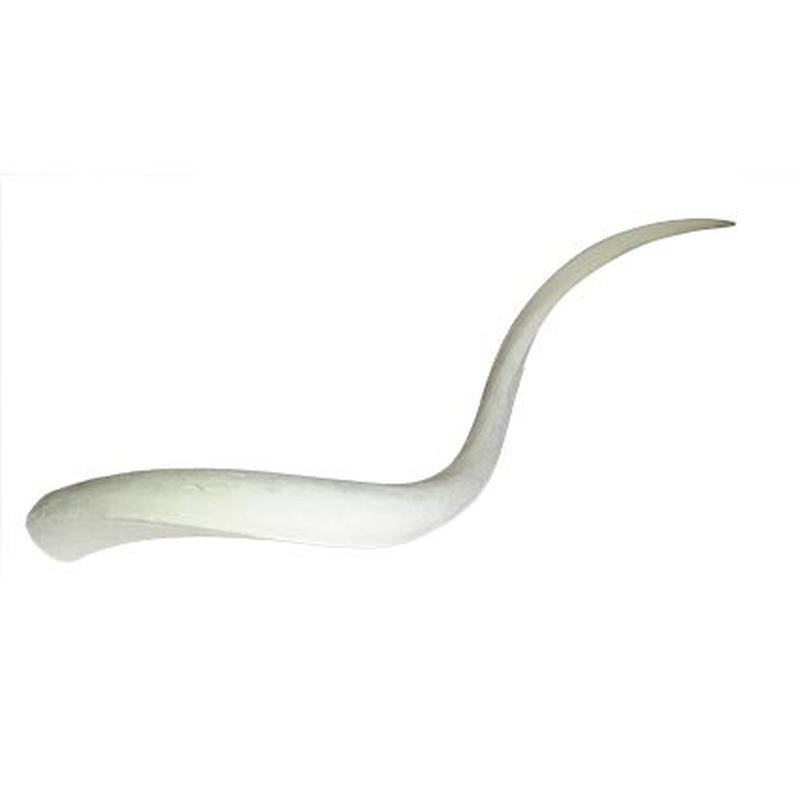 Kudu Inner Horn KIH1