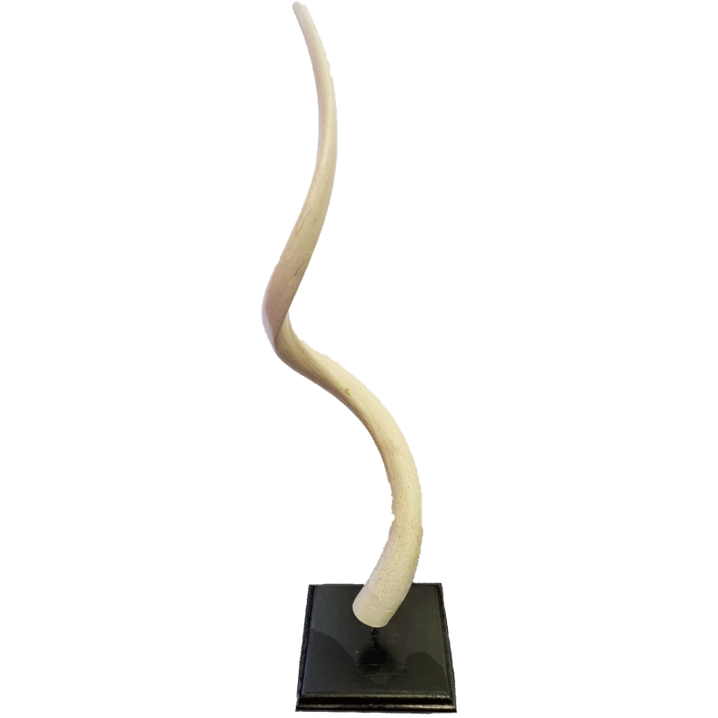 Kudu Inner Horn Mount - KIHM 100