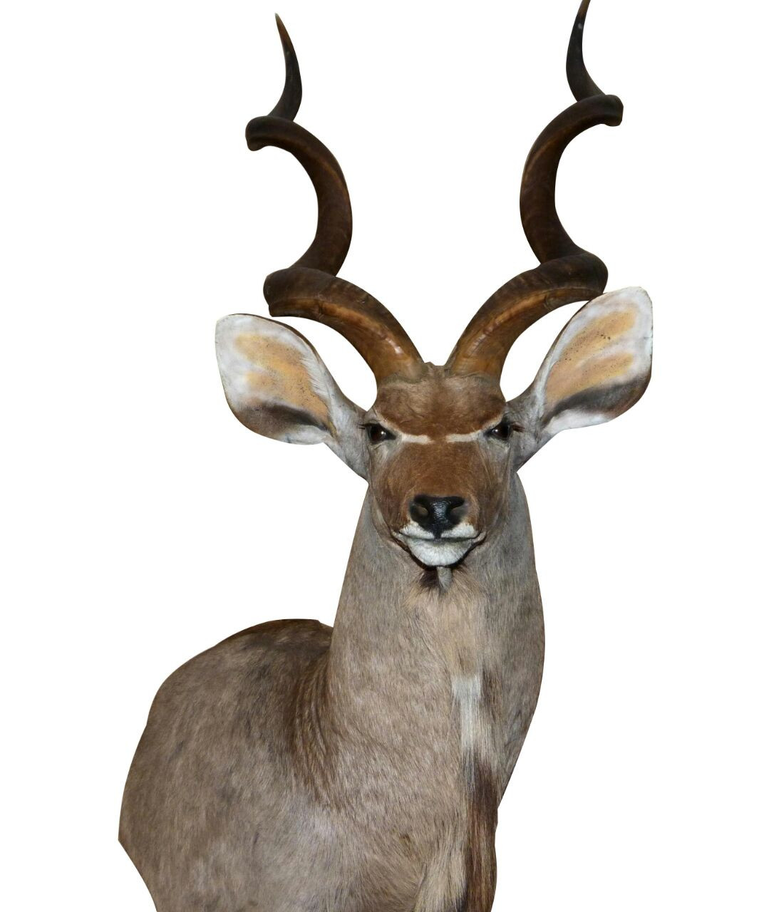 Kudu Pedestal Mount KPM1