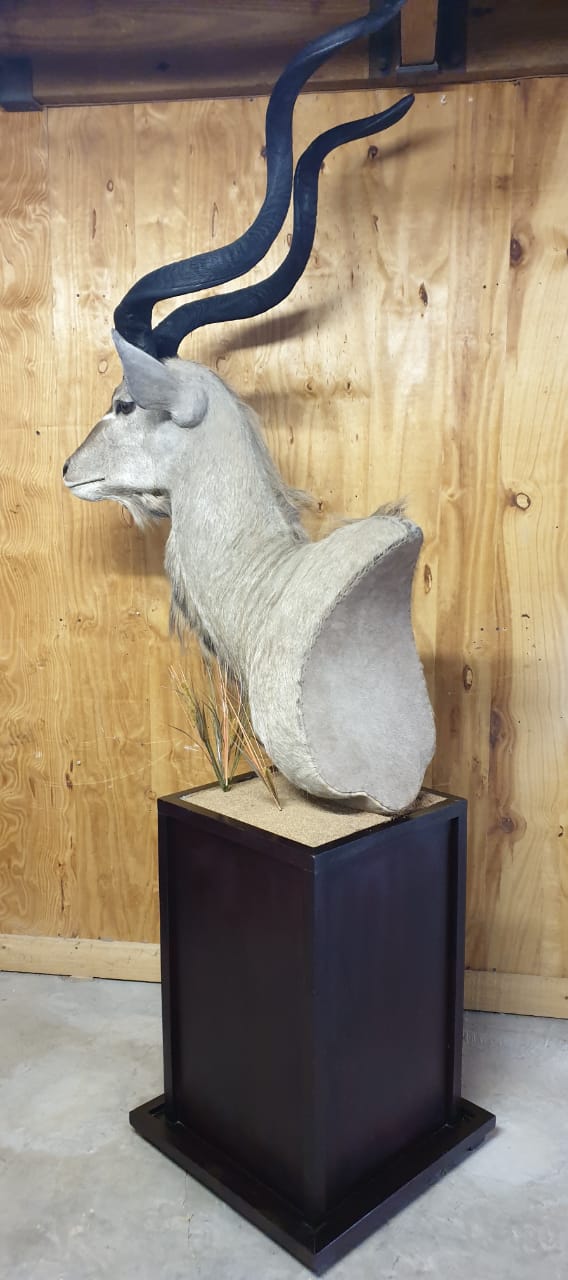 Kudu Pedestal Mount - KPM13 - Image 2