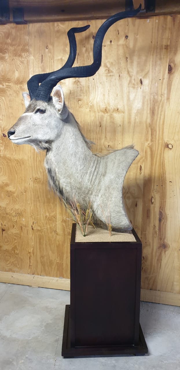 Kudu Pedestal Mount - KPM13 - Image 3