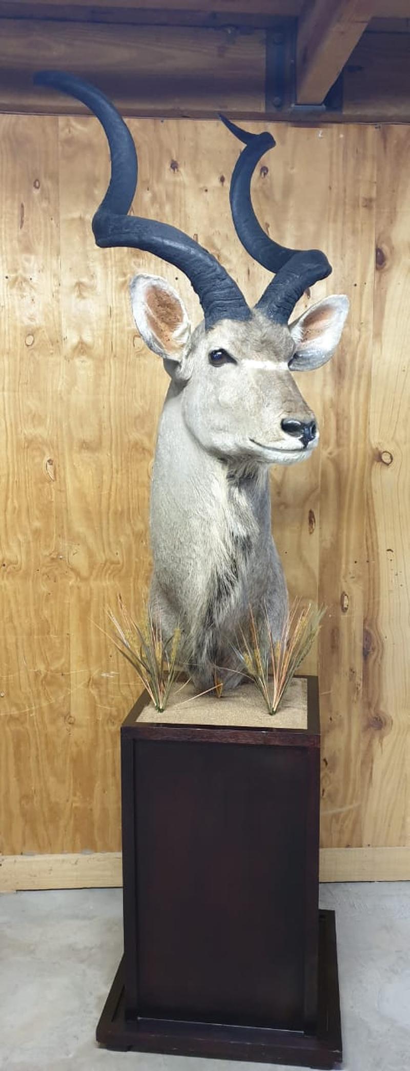 Kudu Pedestal Mount - KPM13 - Image 4