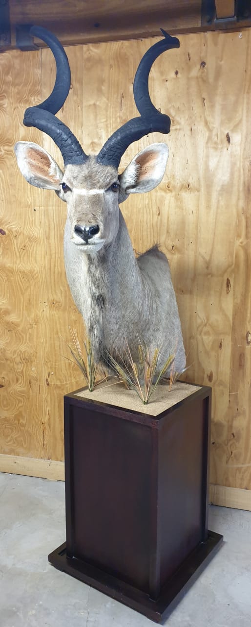 Kudu Pedestal Mount - KPM13 - Image 5