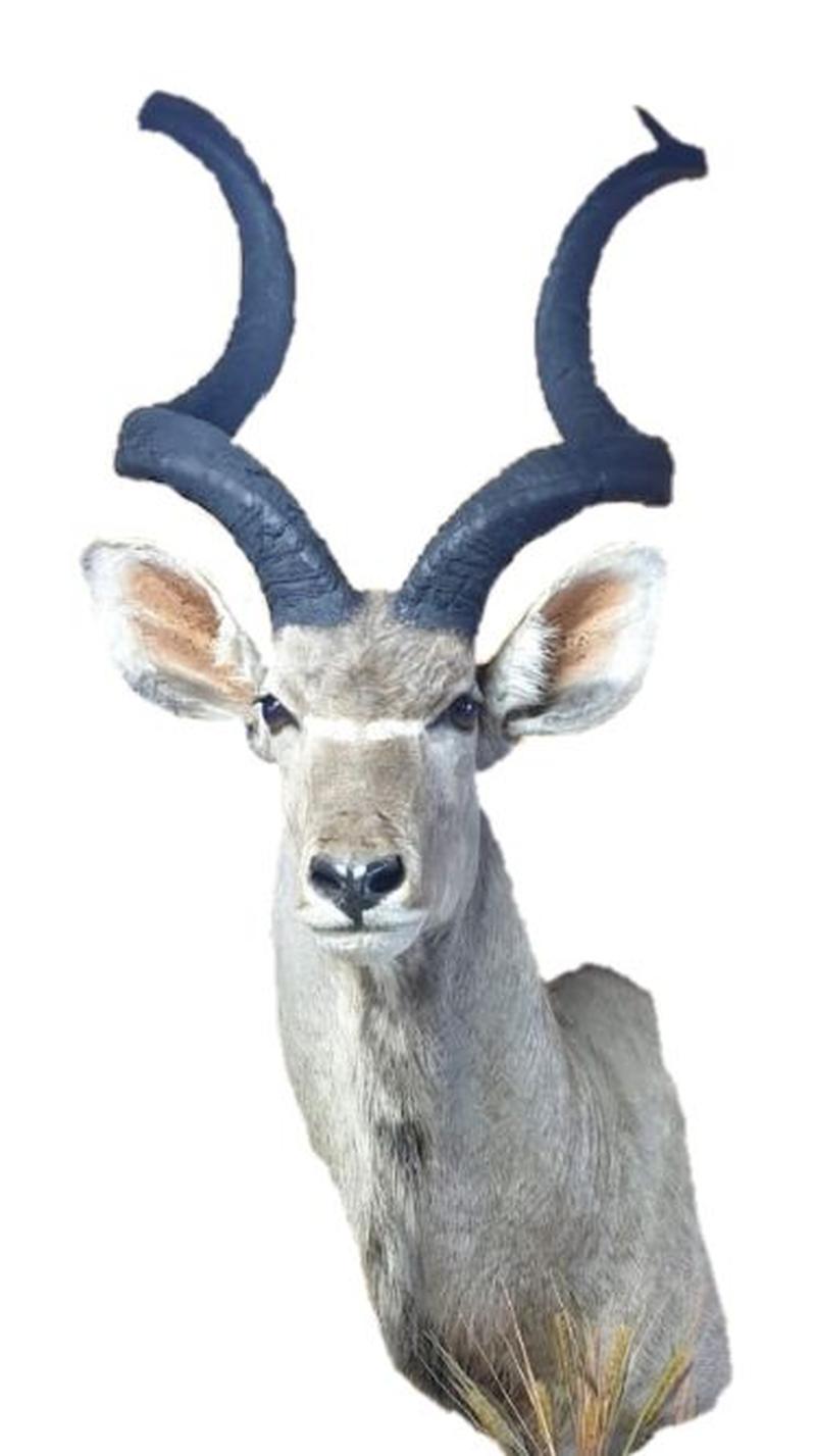 Kudu Pedestal Mount - KPM13