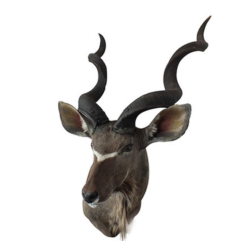 Kudu Shoulder Mount KSM21 - Image 2