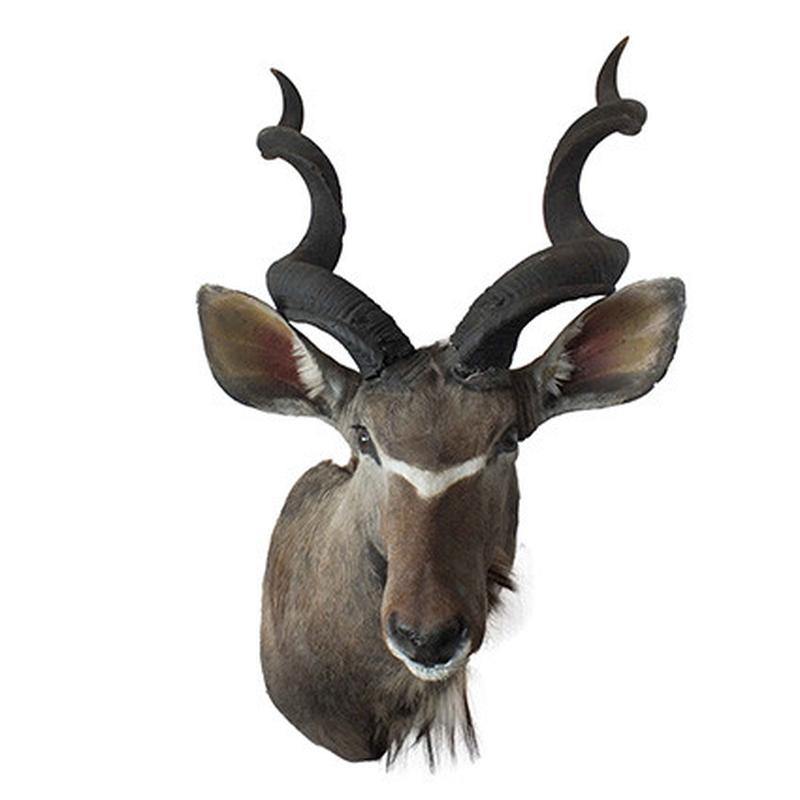 Kudu Shoulder Mount KSM21