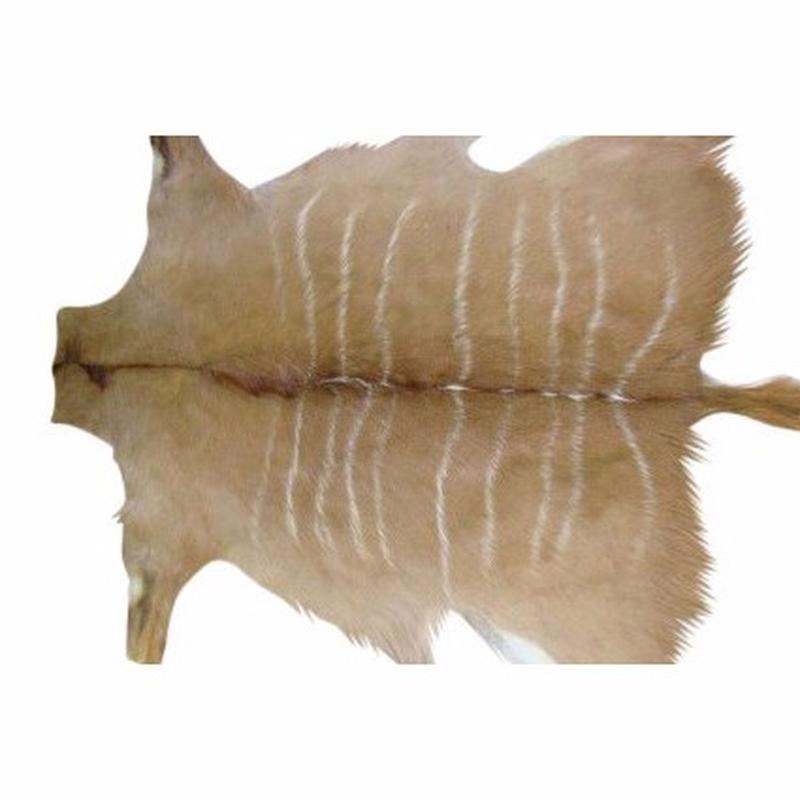 Kudu Tanned Skin - 4591