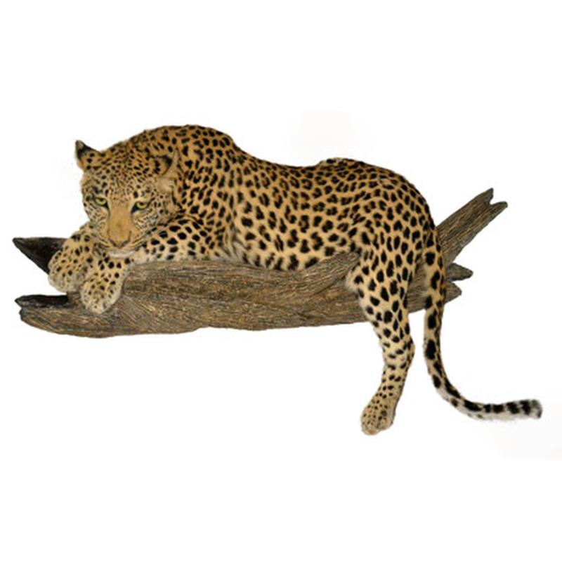 Leopard Full Mount LFM1