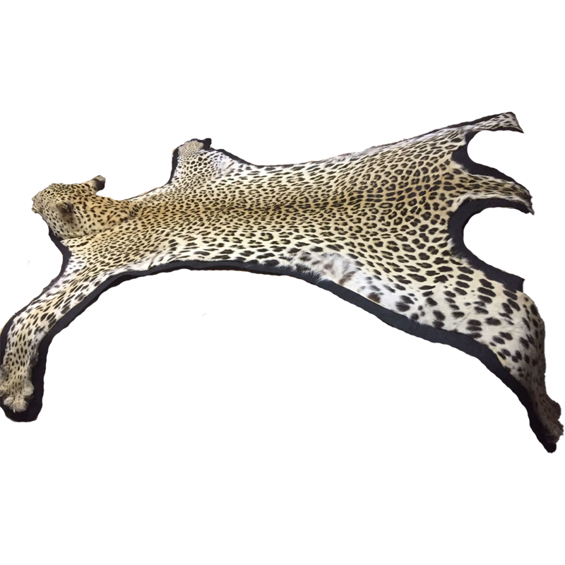 Leopard Rug Mount - LRM 101 - Image 4