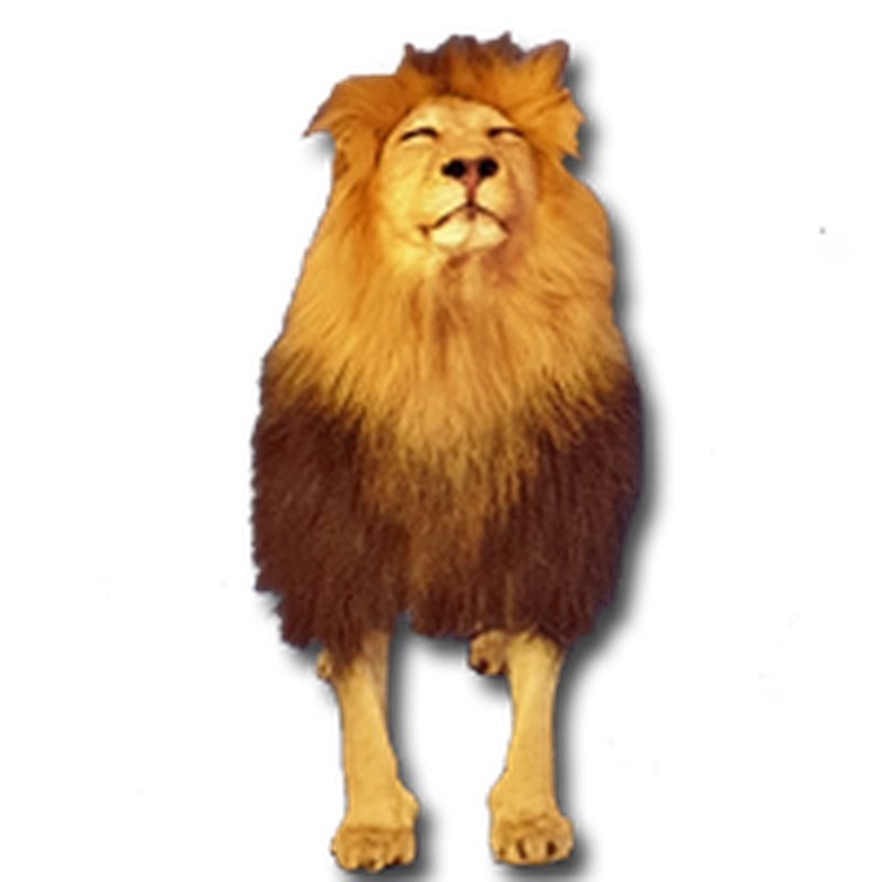 Lion Full Mount - LFM101 - Image 3