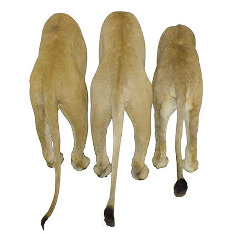 Lion Back Mount LBM1