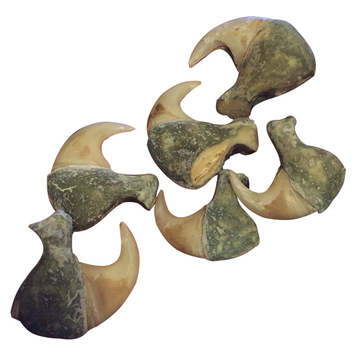 Lion Claws (Full Set)