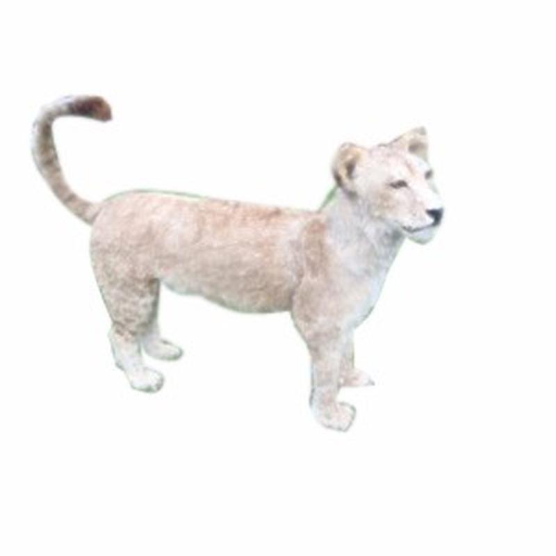 Lion Cub Full Mount LCFM02