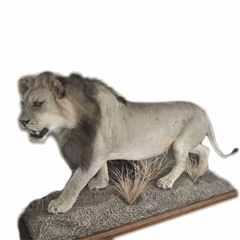 Lion Full Mount L5107