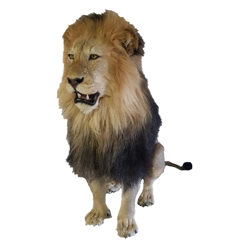 Lion Full Mount - LFM 111