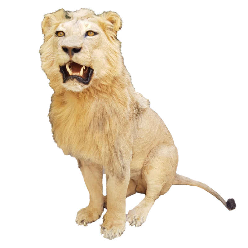 Lion Full Mount - LFM 130