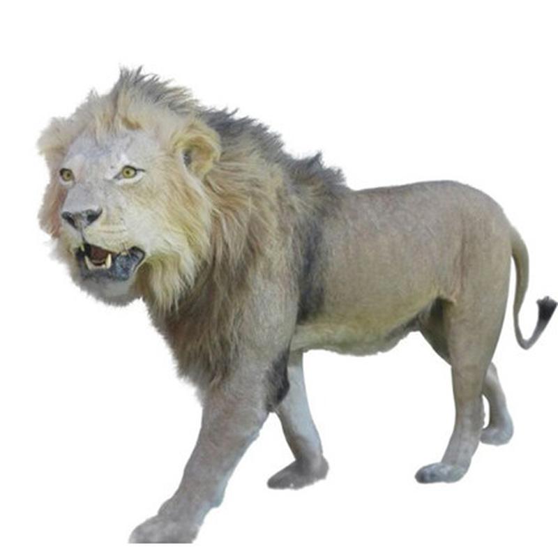 Lion Full Mount - LFM04
