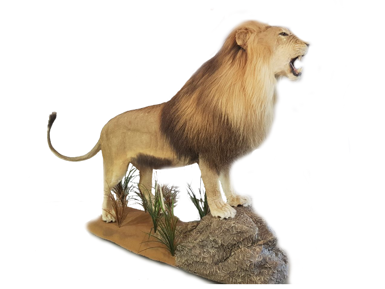 Lion Full Mount LFM10 - Image 2